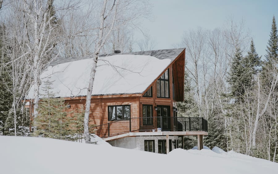 A timber chalet with a snow-covered roof among bare birch trees